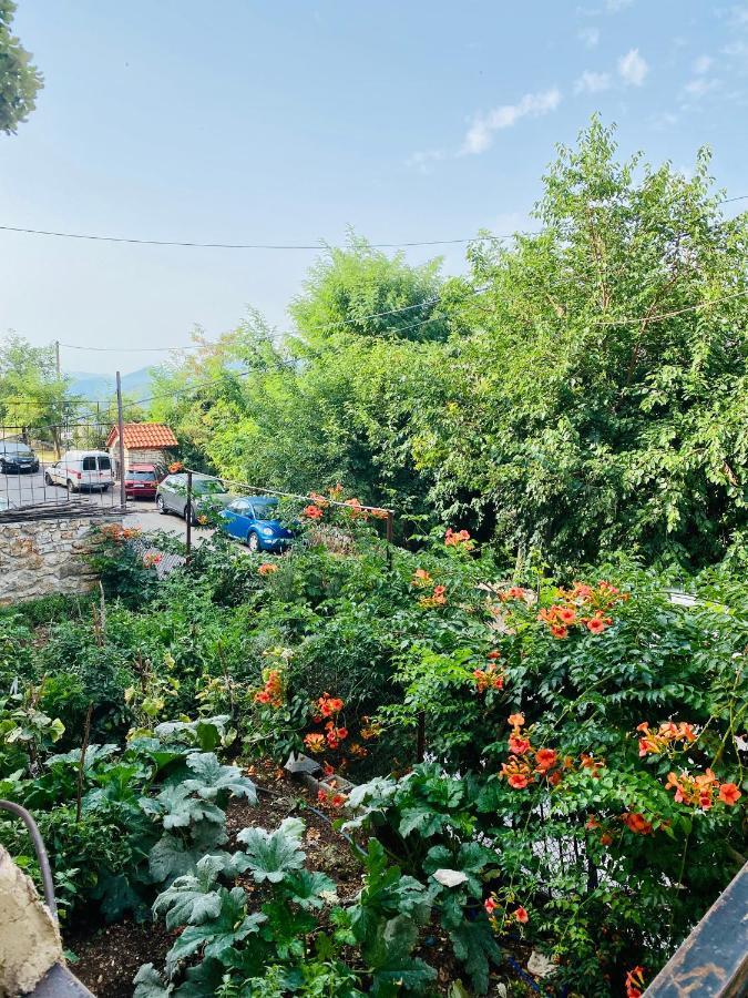 Ortansia Apartman Dimicána Kültér fotó